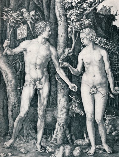 Adam und Eva, 1504 von Albrecht Dürer