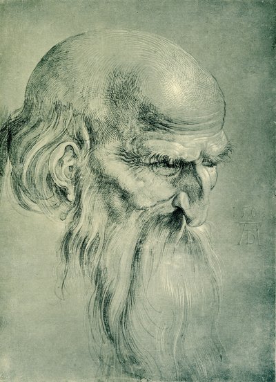 Apostelkopf von Albrecht Dürer