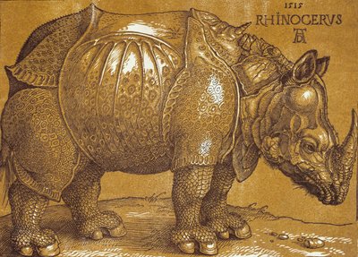 Das Nashorn, 1515 von Albrecht Dürer