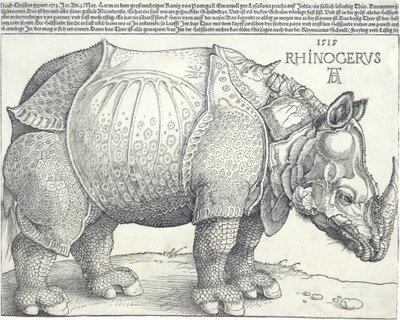 Das Nashorn, 1515 von Albrecht Dürer