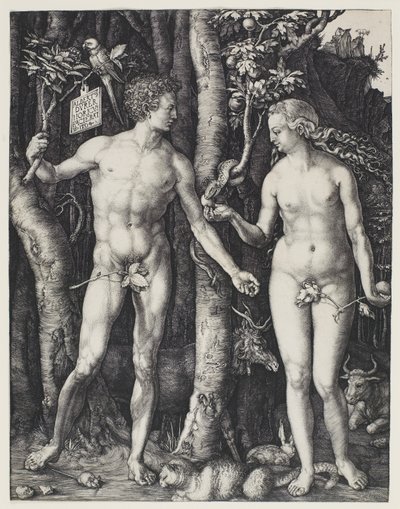 Adam und Eva von Albrecht Dürer