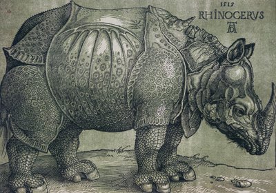 Das Nashorn, 1515 von Albrecht Dürer