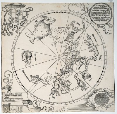 Unbekanntes Bild von Albrecht Dürer