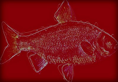 Fisch V von Alex Caminker