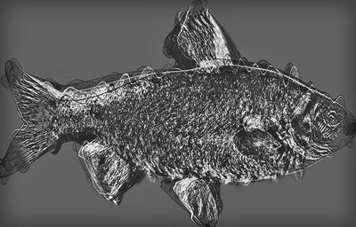 Fisch in Grau, 2020 von Alex Caminker