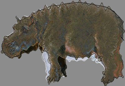 Nilpferd, 2020 von Alex Caminker