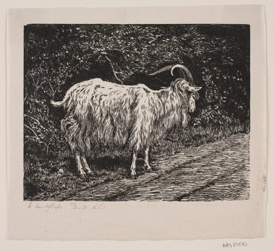 Ein Ziegenbock von Alexander Blom