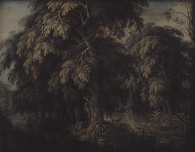 Waldlandschaft von Alexander Keirincx