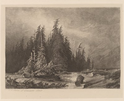 Bergkiefern von Alexandre Calame