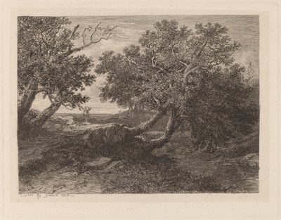 Bach mit überhängenden Bäumen von Alexandre Calame