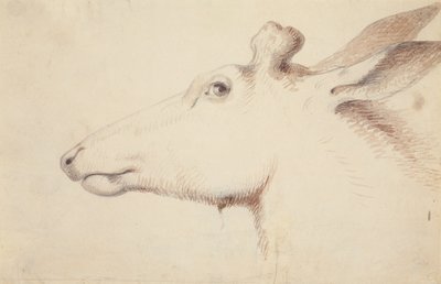 Elch, ca. 1837 von Alfred Jacob Miller