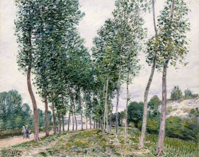 Pappelallee entlang des Loing, 1892 von Alfred Sisley