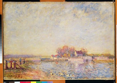 Flusslandschaft mit Enten, 1881 von Alfred Sisley