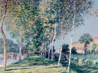 Straße nach Louveciennes von Alfred Sisley (1839-1899) von Alfred Sisley