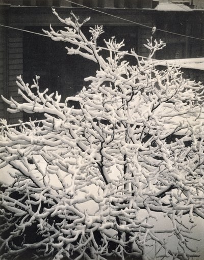 Aus dem Fenster - 291 - N.Y. von Alfred Stieglitz