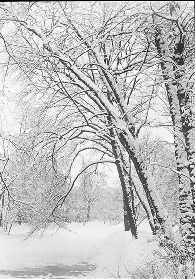 Schneelandschaft, Berlin, 188892 von Alfred Stieglitz