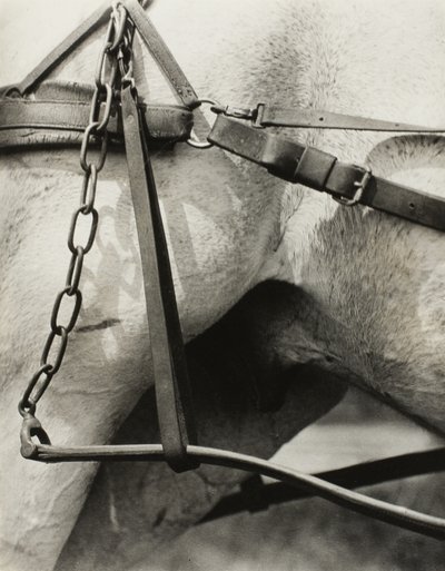 Spirituelles Amerika: Lieder des Himmels A1 von Alfred Stieglitz
