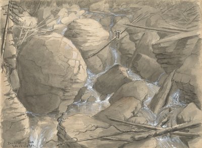 Abstieg des Blackwater von Alfred Wordsworth Thompson