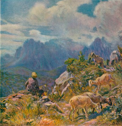Weiden in den Apuanischen Alpen von Alfredo Vaccari