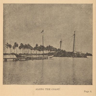Entlang der Küste von Alice Dixon Le Plongeon