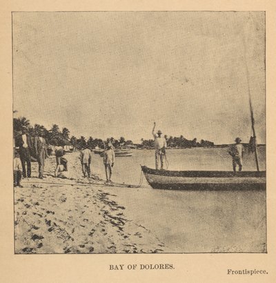 Bucht von Dolores von Alice Dixon Le Plongeon