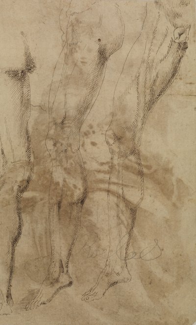 Drei Studien eines männlichen Beins, um 1637 von Alonso Berruguete