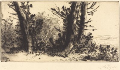 Querfeldein von Alphonse Legros