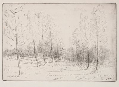 Pappelallee von Alphonse Legros