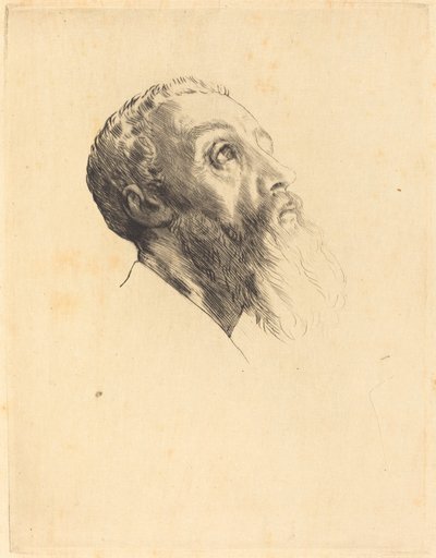 Kopf eines Modells Tête de modèle von Alphonse Legros