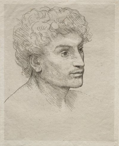 Kopf eines jungen Mannes von Alphonse Legros