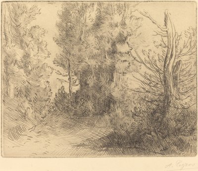 Landschaft: In der Nähe von Chailleux von Alphonse Legros