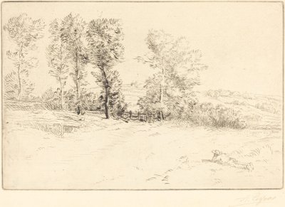 Wiese im Sonnenschein Le pré ensoleillé von Alphonse Legros