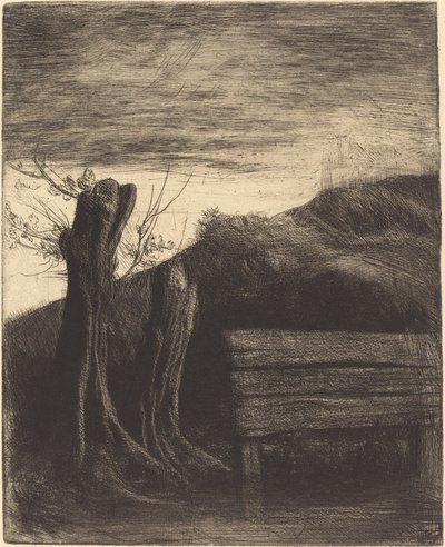 Kopfweiden von Alphonse Legros