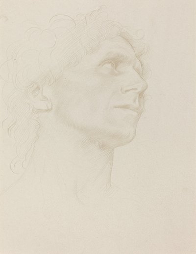 Studie eines Frauenkopfes, nach rechts gedreht von Alphonse Legros