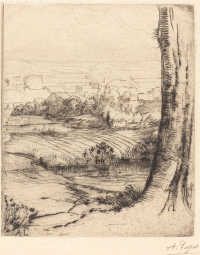 Ansicht der Schilfrohrecke von Alphonse Legros