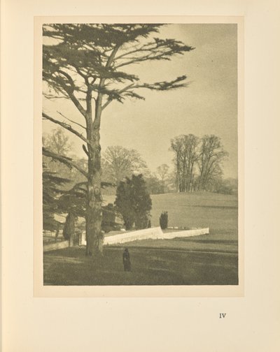 Am Rand des Gartens von Alvin Langdon Coburn