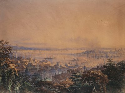 Ein Blick auf Konstantinopel, 1866 von Amadeo Preziosi