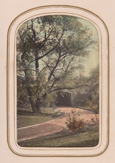 Carte-de-visite Album mit Ansichten des Central Parks, 1860er Jahre von Ambrose Jackson