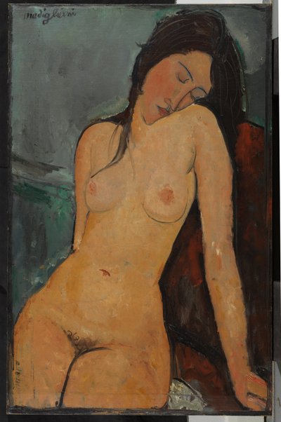 Weiblicher Akt, ca. 1916 von Amedeo Modigliani