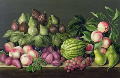 Feigen, Melone und Stachelbeeren, 1998 von Amelia Kleiser