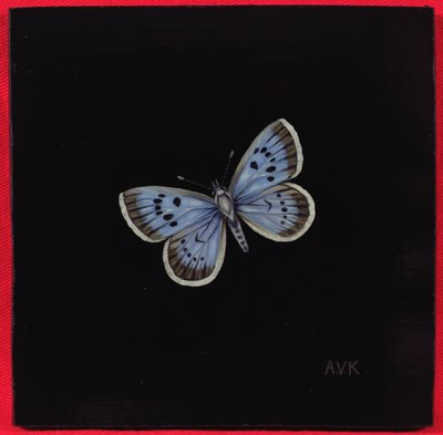 Großer Bläuling, 2000 von Amelia Kleiser