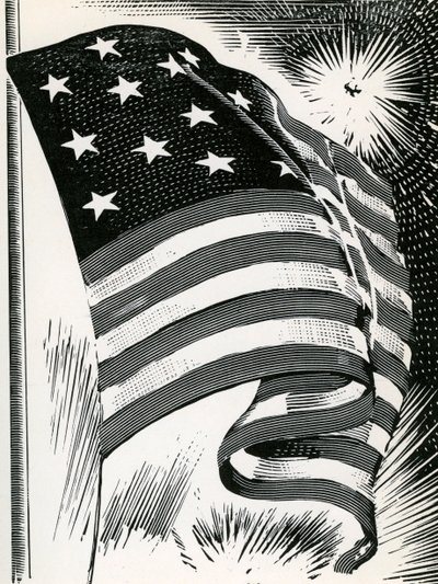 Amerikanische Flagge weht über Fort McHenry von American School