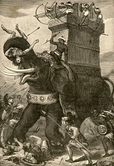 Persischer Kriegselefant in der Schlacht von American School