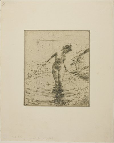 Wasserkreise I von Anders Zorn