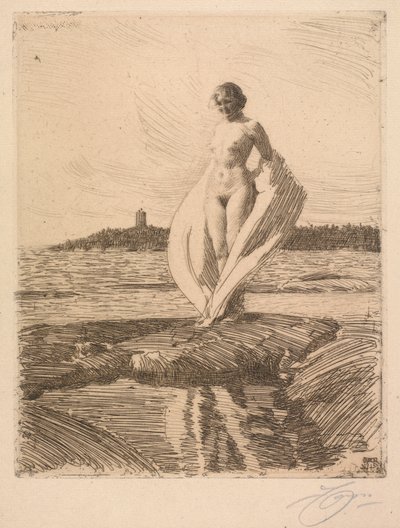 Der Schwan von Anders Leonard Zorn
