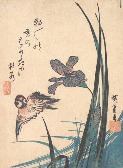 Iris und Spatz, ca. 1832 von Ando Hiroshige