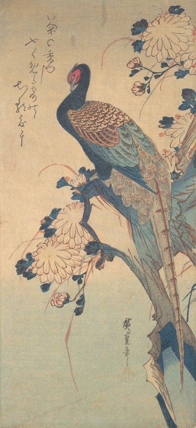 Fasan mit Chrysanthemen von Ando Hiroshige