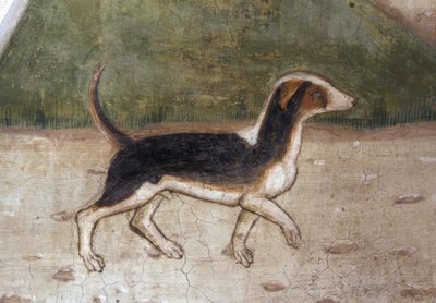 Atri, Dom, Hund / Fresko von A. Delitio von Andrea Delitio