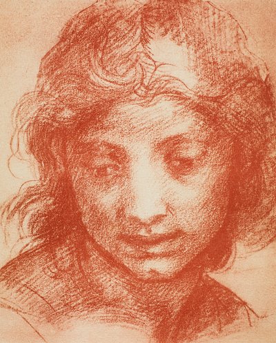 Jungenkopf von Andrea del Sarto