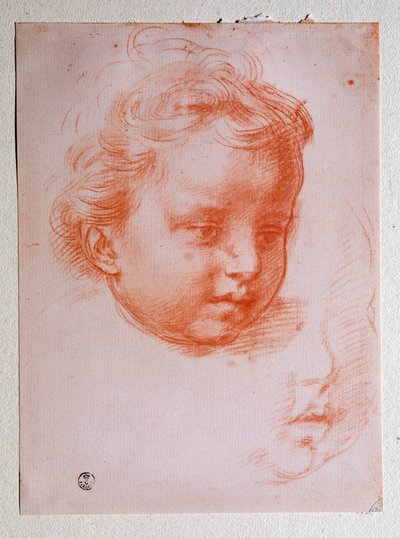 Kopf eines Putto (Zeichnung) von Andrea del Sarto